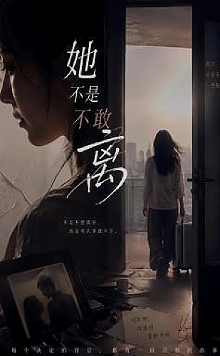 长歌莫问海报