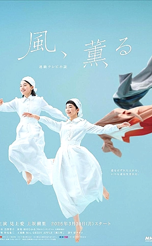 开始推理吧 第四季海报